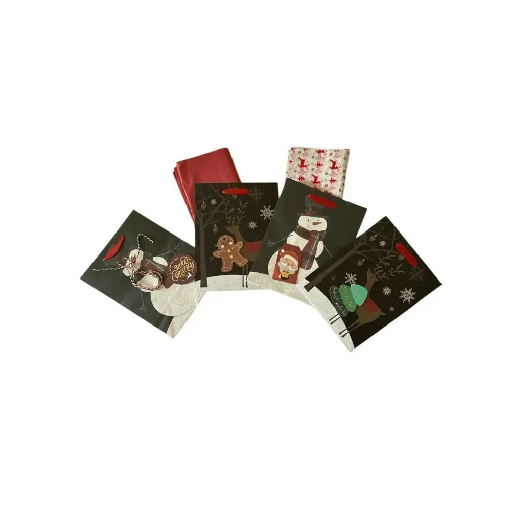 B5. Complete Christmas/Holiday Gift Bag Set of 4